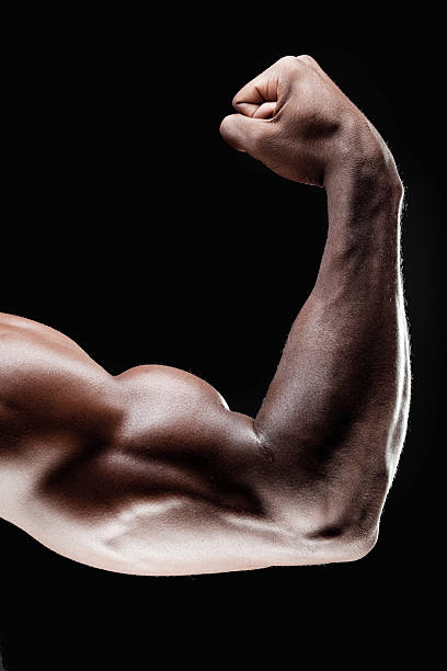 primo piano di bicipite - bicep human arm macho flexing muscles foto e immagini stock