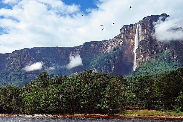 «salto angel " - venezuela photos et images de collection