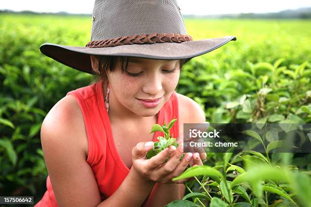 Jovem Na Quinta De Chá - Fotografias de stock e mais imagens de Austrália - Austrália, Criança, Agricultor