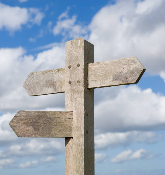 istock Three way wooden directional sign. Blank space for text 157506778