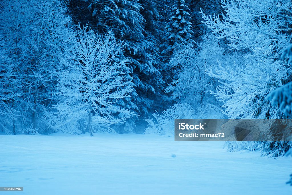 冷凍に雪の冬の夜 - 冬のロイヤリティフリーストックフォト
