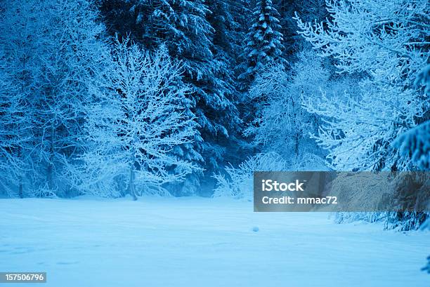 Zimowy Wieczór Na Śniegu Zamrożone - zdjęcia stockowe i więcej obrazów Krajobraz - Krajobraz, Noc, Pejzaże