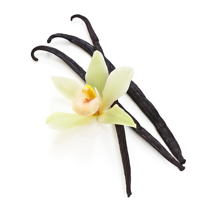 Vanilla beans and an orchid on white