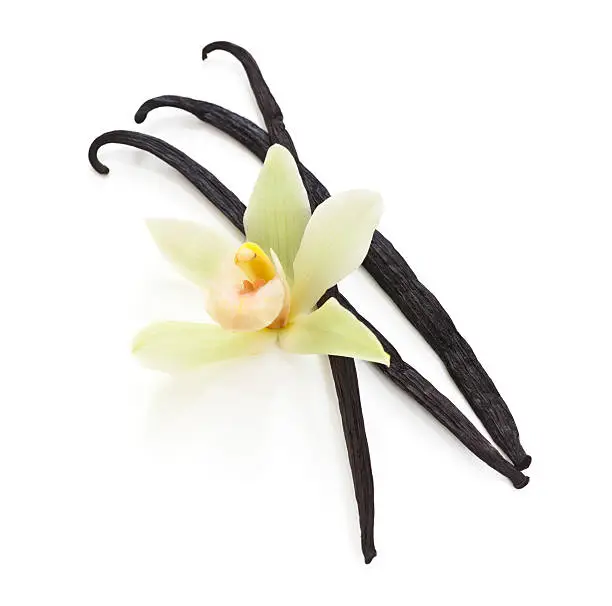 Photo of Vanilla beans and an orchid on white