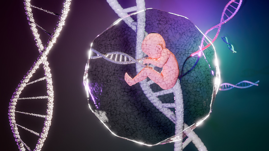 Fetus with dna 3D rendering