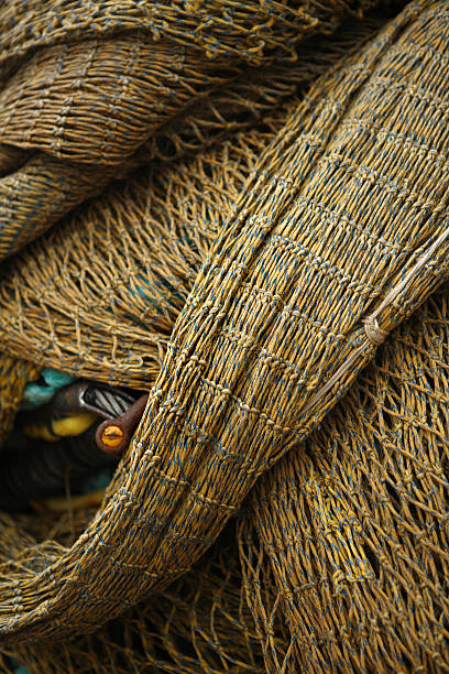 coast: dryga - commercial fishing net fishing net fishing fishing industry zdjęcia i obrazy z banku zdjęć