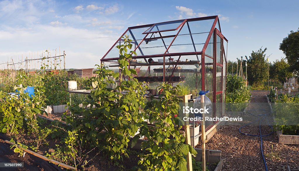 Invernadero en huerto. - Foto de stock de Jardín de la comunidad libre de derechos