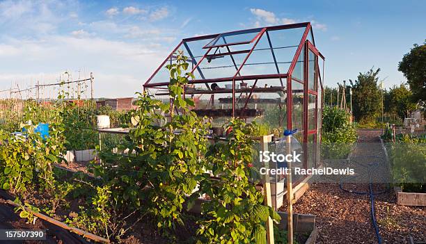 Invernadero En Huerto Foto de stock y más banco de imágenes de Jardín de la comunidad - Jardín de la comunidad, Reino Unido, Sin personas