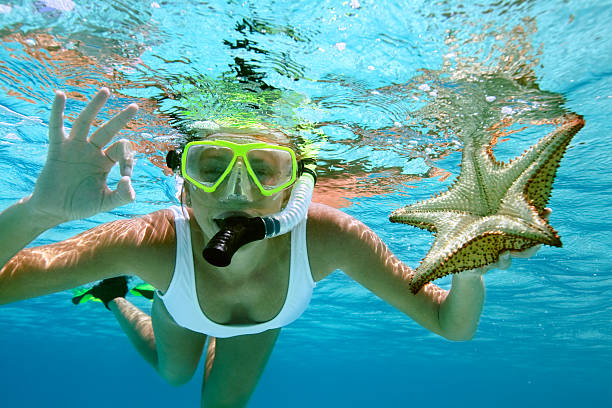 woman snorkeling with a starfish woman snorkeling with a starfish, showing the O.K. signal underwater shallow stock pictures, royalty-free photos & images