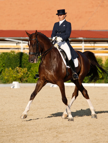 A young woman with her beautiful horse during an Intermediaire I. dressage test, showing an excellent half pass in trot. Canon Eos 1D MarkIII. Please take a look at my other horse photos in my gallery!
