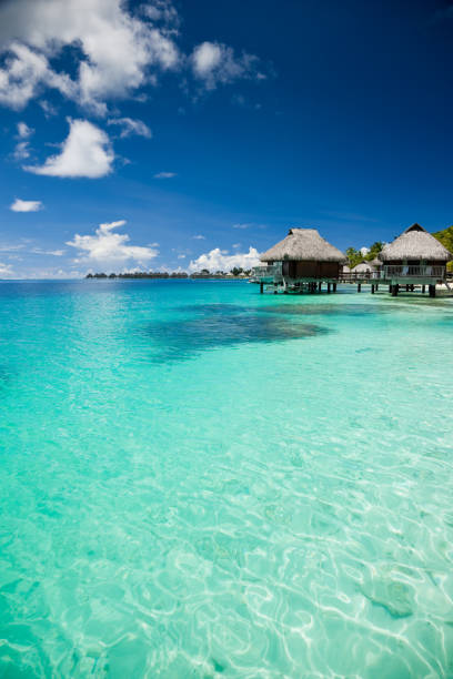 istock Hotel Resort in Paradise Lagoon 157507534