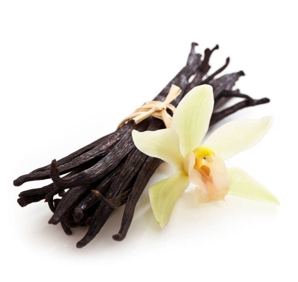 istock Vanilla beans with yellow flower on white background 157507553