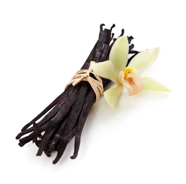 istock Vanilla Beans and Orchid 157507570