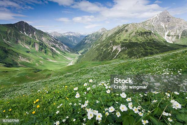 레흐탈 파노라마 티롤 주에 대한 스톡 사진 및 기타 이미지 - 티롤 주, 알프스 산맥, 파노라마