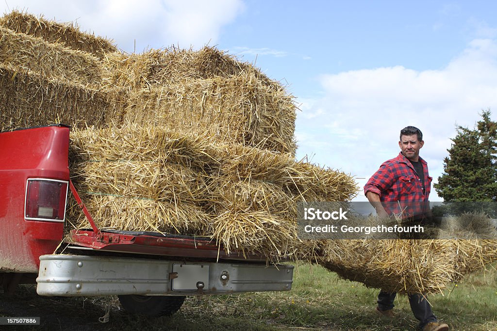 Farmer transporte bales de paja - Foto de stock de Camioneta libre de derechos