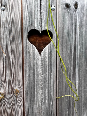 Wooden outdoor toilet with heart on the door.