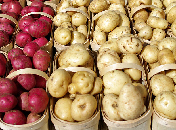 свежего картофель - red potato raw potato market red стоковые фото и изображения