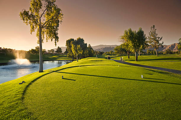 resort campo de golfe em sunrise - tee box imagens e fotografias de stock