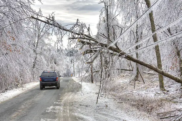 Car drives under dangerous trees weighed down by ice and powerlines after an icestorm. The weight of ice can easily snap power lines and break or bring down power/utility poles split trees in half and turn roads and pavements into lethal sheets of smooth, thick ice