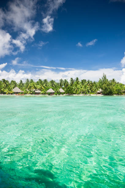 istock Aitutaki Island Beach Resort Cook Islands 157508568