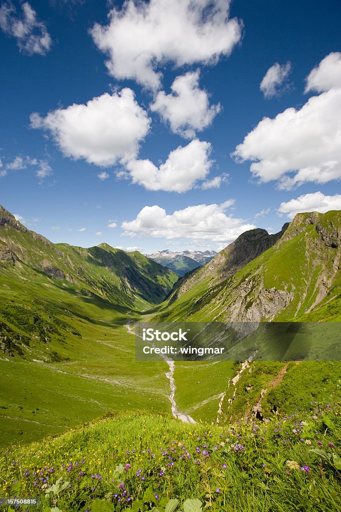 山メドウ - オーストリアのロイヤリティフリーストックフォト