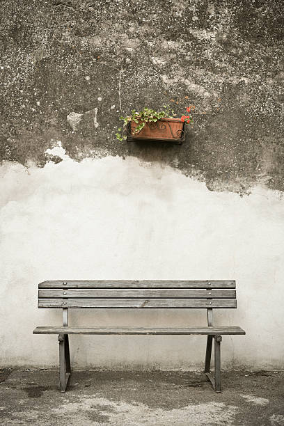 istock Grunge wall texture with a bench and potted plant, Italy 157508971