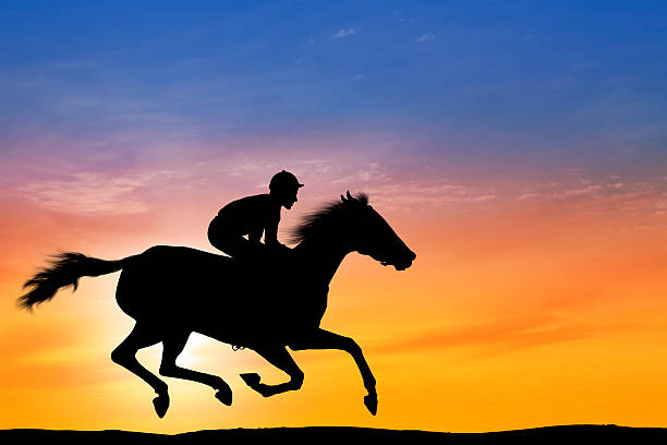 Dawn Over Professional Jockey Riding A Racehorse Stock Photo - Download  Image Now - Horse Racing, In Silhouette, Horse - iStock