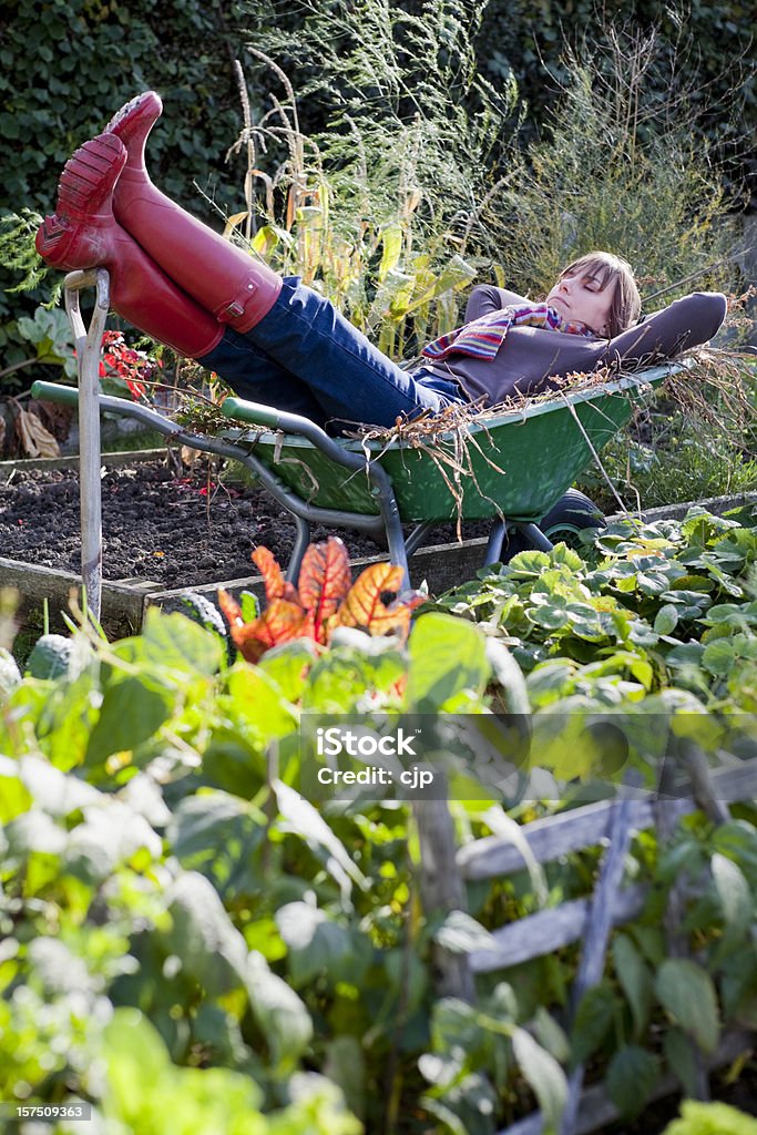 Taca Gardener snu w Taczka - Zbiór zdjęć royalty-free (Ogród warzywny)