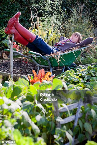 Taca Gardener Snu W Taczka - zdjęcia stockowe i więcej obrazów Ogród warzywny - Ogród warzywny, Ogródek przydomowy, Taczka