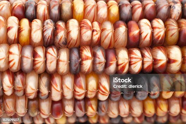 Indian Corn Trocken Stockfoto und mehr Bilder von Mahiz - Mahiz, Makrofotografie, Bildhintergrund