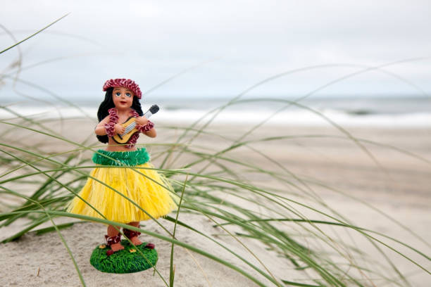 istock Ukulele Hula Girl 157509550