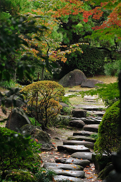 istock Stone path in the japanese garden 157509552