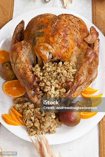 Por Ejemplo De Turquía Foto de stock y más banco de imágenes de Relleno - Aderezo - Relleno - Aderezo, Pavo - Carne blanca, Día de Acción de Gracias