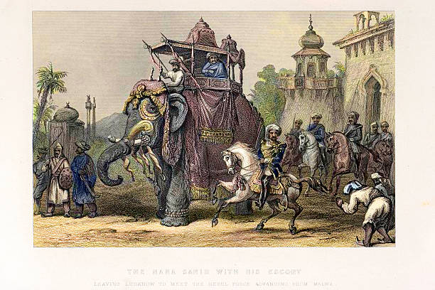 die nana sahib und indischer elefant - mogal stock-grafiken, -clipart, -cartoons und -symbole