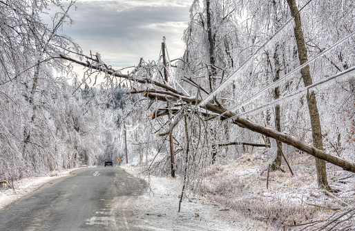 Car drives under dangerous trees weighed down by ice and powerlines after an icestorm. The weight of ice can easily snap power lines and break or bring down power/utility poles split trees in half and turn roads and pavements into lethal sheets of smooth, thick ice