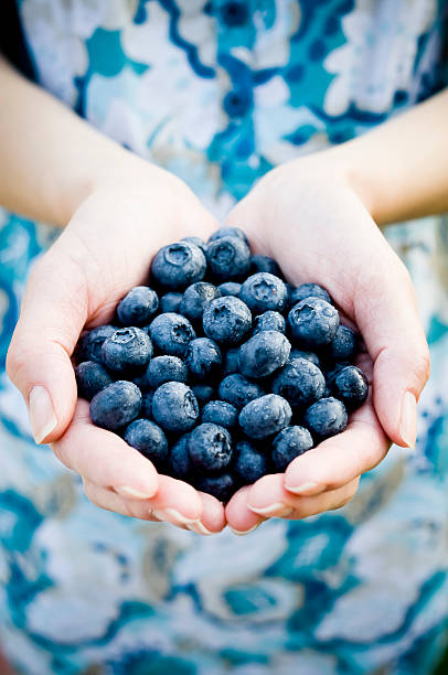istock Handful of Blueberries 157509808