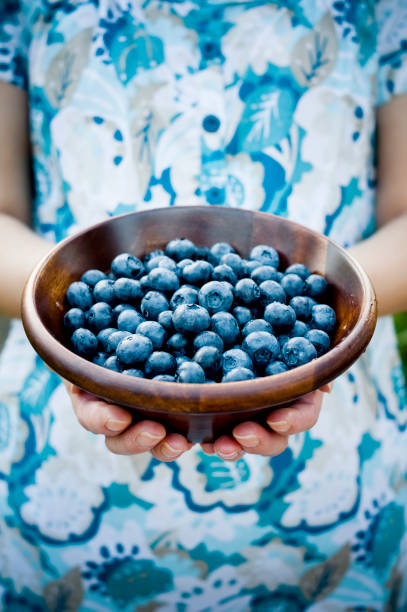 istock Bowl of Blueberries 157509810
