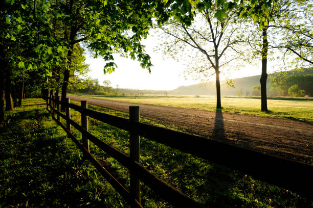 istock Forestville State Park, southern Minnesota 157509963