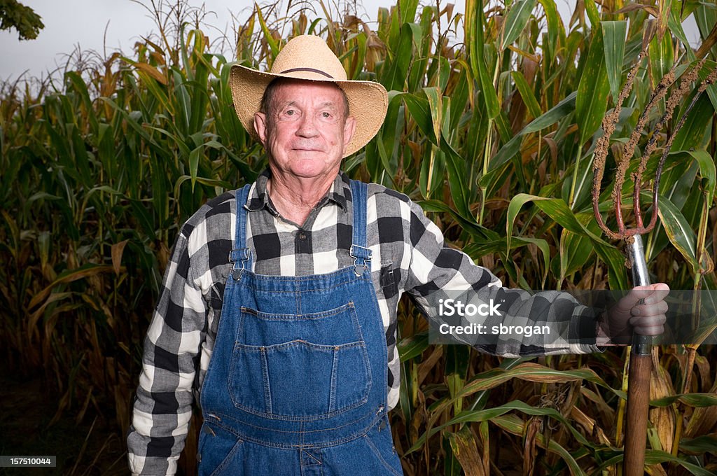 Hoosier Farmer and Pitchfork My wonderful father in law with his pitchfork and fields of indiana hoosier corn with dramatic lighting Indiana Stock Photo