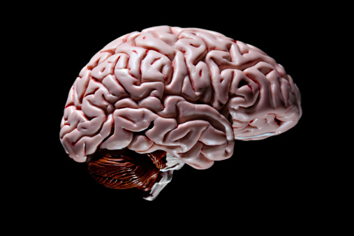 A human brain on black background.PLEASE CLICK HERE FOR MORE BRAINS.