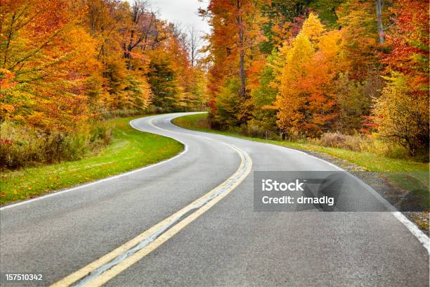 Herbst Kurvenreiche Straße Umgeben Von Strahlend Grün Stockfoto und mehr Bilder von Herbst