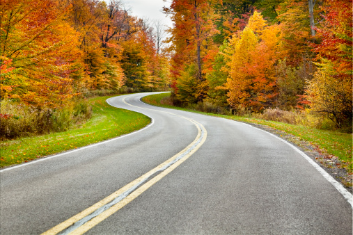 A gently winding road guides travelers through spectacular fall foliage of red, yellow, and orange.