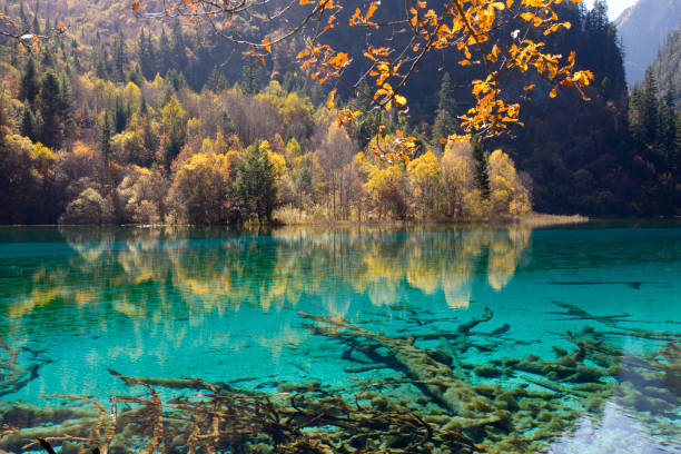 istock Autumn River of Jiuzhaigou 157510549