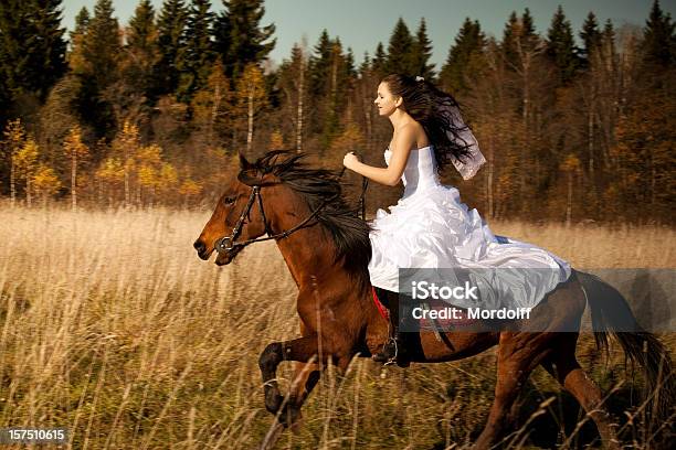 Riding Mujer En Vestido Blanco A Caballo Foto de stock y más banco de imágenes de Actividad - Actividad, Actividades recreativas, Adulto