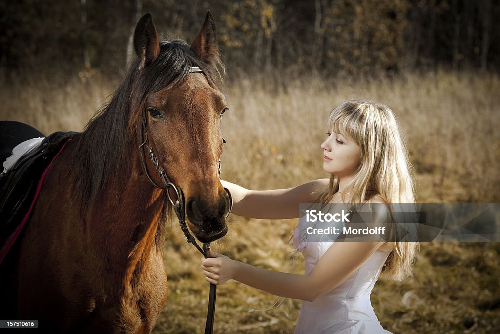 Młoda kobieta w białą sukienkę caressing horse - Zbiór zdjęć royalty-free (Adolescencja)