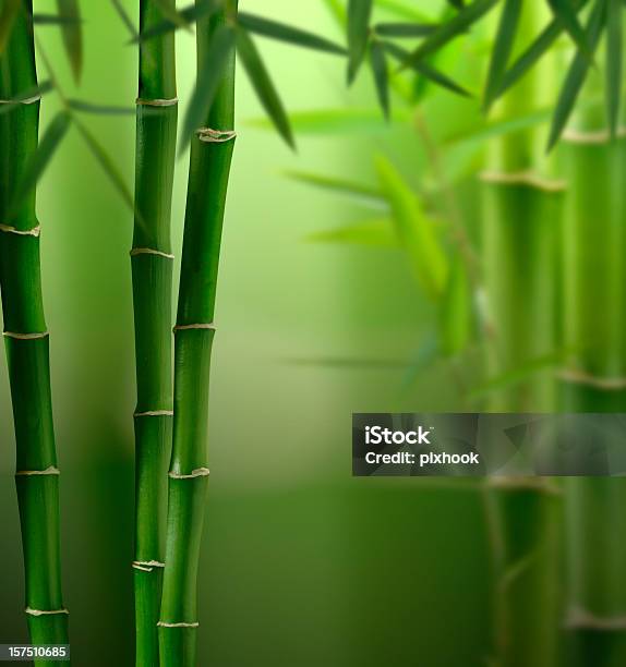 Photo libre de droit de Jungle De Fengshui banque d'images et plus d'images libres de droit de Bambou - Bambou, Couleur verte, Couleur vive