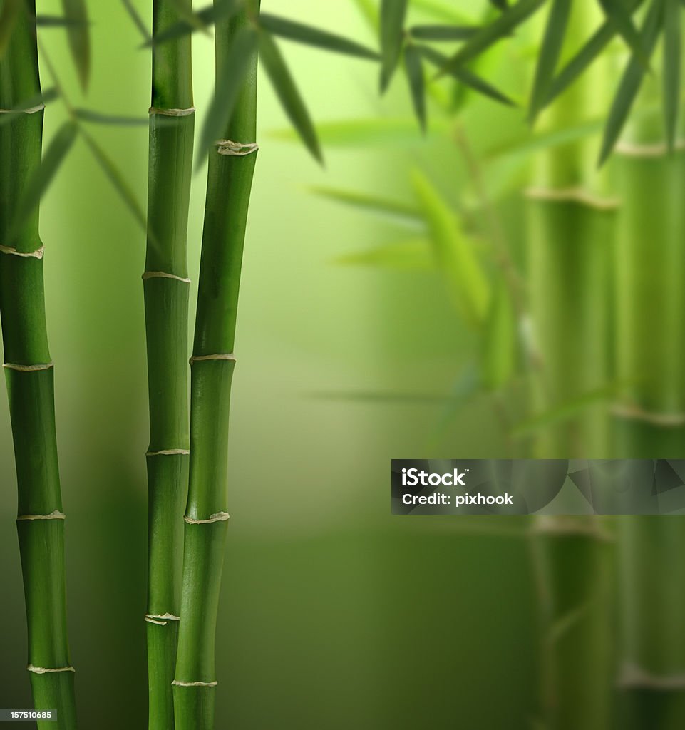 Feng-Shui selva - Foto de stock de Bambu royalty-free