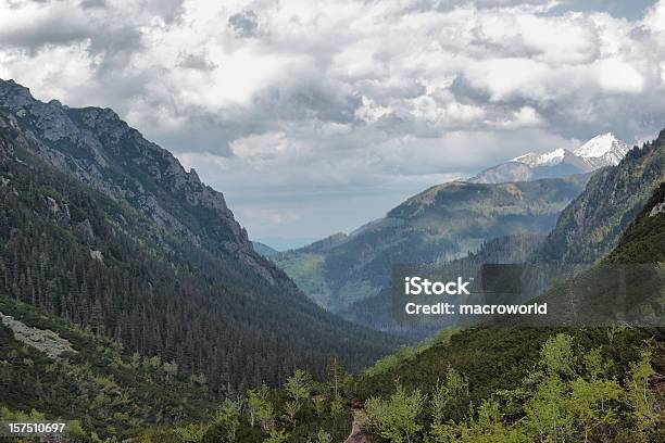 Foto de Montanhas e mais fotos de stock de Ajardinado - Ajardinado, Alpes europeus, Aventura