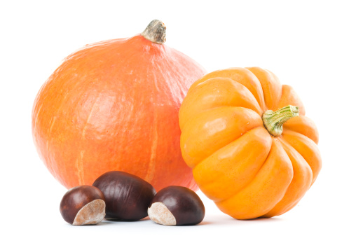Orange pumpkins and brown chestnuts isolated on white background with shadow. Studio shot.