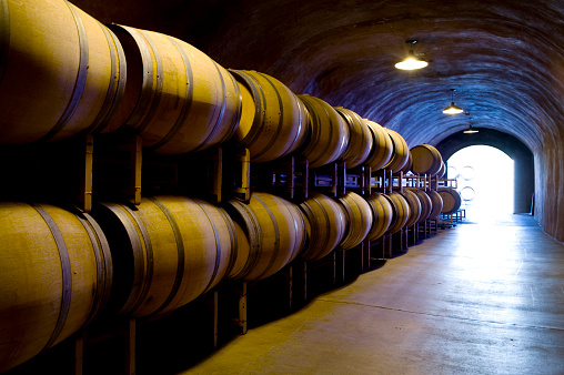 Wine cave with oak barrels in Napa Sonoma California winery with copy-space.